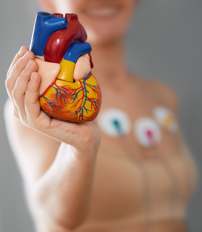 model-heart-in-woman-s-hand-with-sensors-2026-03-24-03-23-30-utc.jpg.jpeg