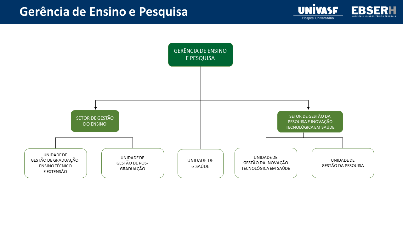 Organograma da GEP