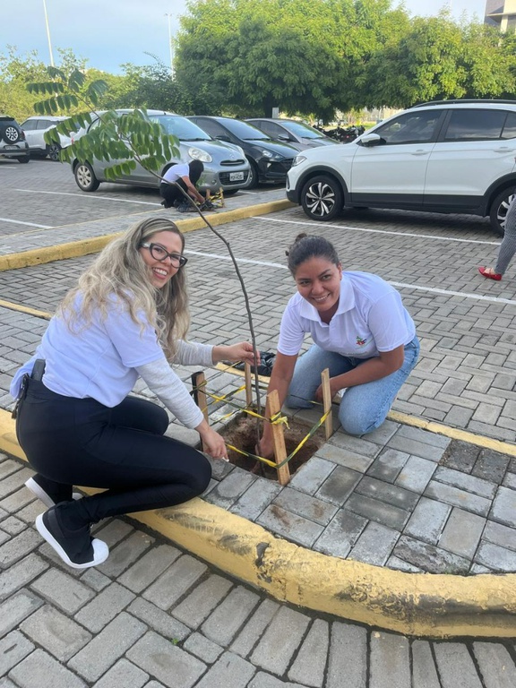 WhatsApp Image 2026-03-05 at 15.37.35 (1).jpeg