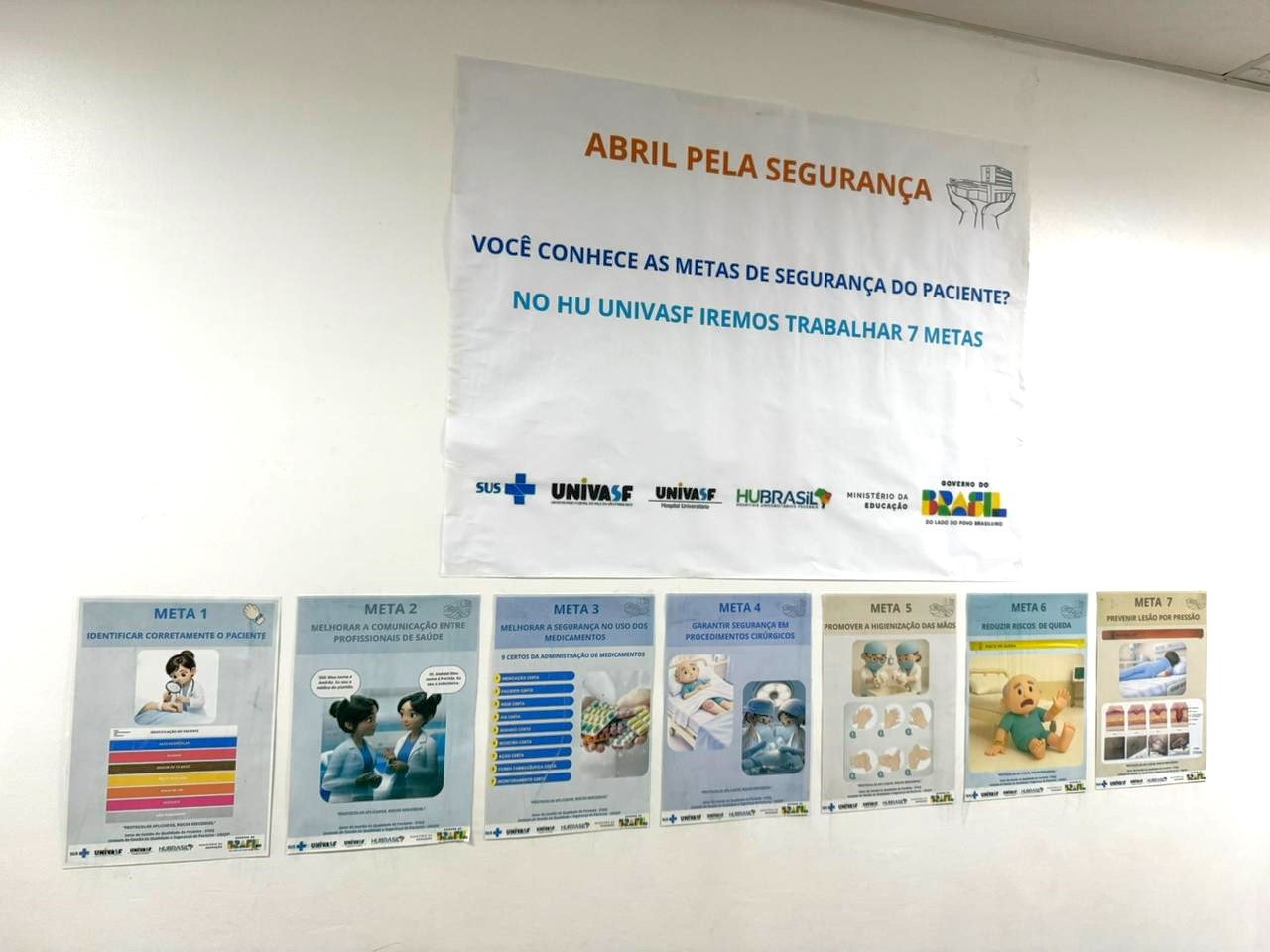 Metas Internacionais de Segurança do Paciente (Organização Mundial da Saúde)
