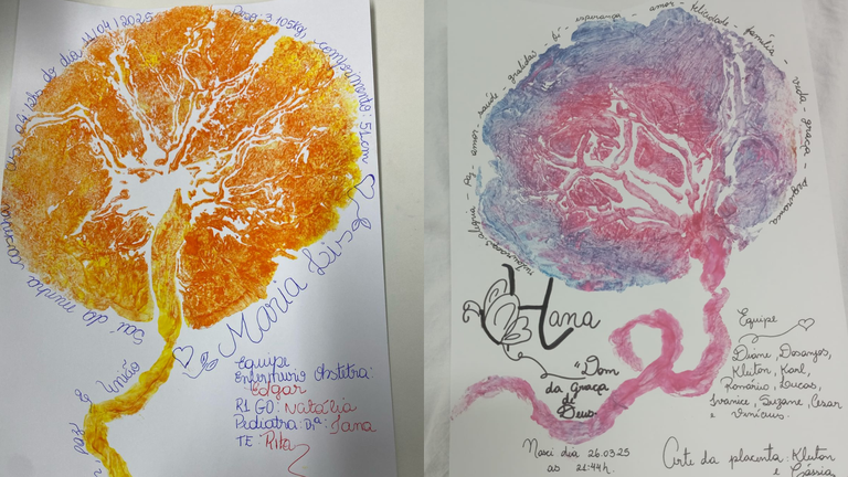 Carimbo Placenta Huab 10062025.png