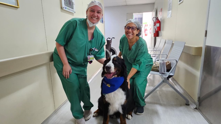 Visita Cao Terapeuta Huab 1.jpg