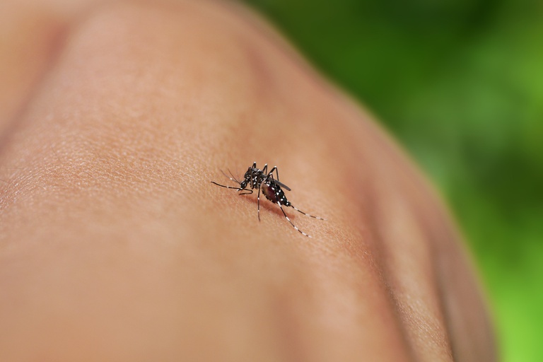 c60847de-2f3a-4f0d-9565-56c1bf511a5c.jpeg