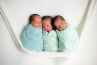 Trigêmeos internados na UCIN do Hospital Universitário Lauro Wanderley ganham ensaio fotográfico