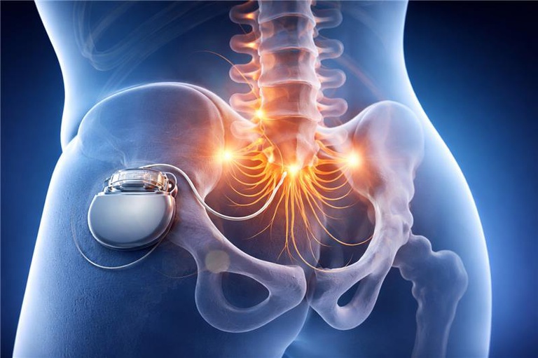 pAUTA HUOL Revista internacional.png