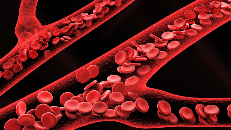 HUOL-UFRN recruta crianças com anemia grave para estudo sobre doença rara do sangue