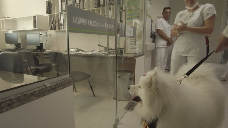 Cao Terapeuta Shai - Huol UFRN Ebserh - visita à área administrativa 01.jpeg