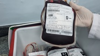 Boa informação é principal ferramenta para enfrentar os desafios na campanha da doação de sangue