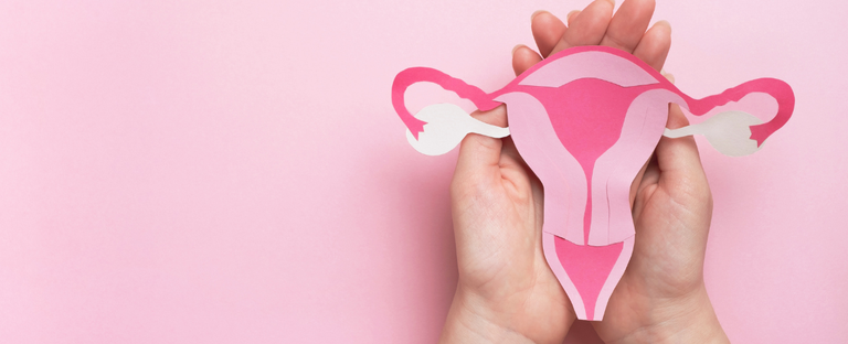 Menopausa - banner site.png