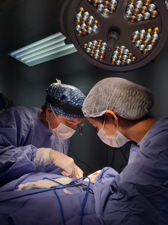 Hupes - Cirurgia de transicao vocal.jpeg