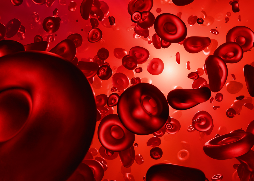 Hupes-UFBA promove V Simpósio Internacional Multiprofissional de Onco-Hematologia e Transplante de Medula Óssea