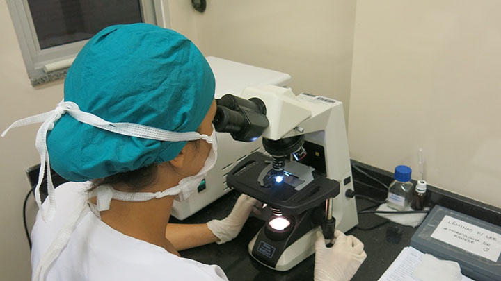 laboratc3b3rioandrologiacra