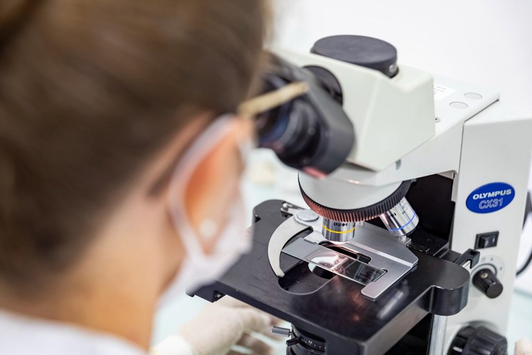 HU Brasil oferta 849 vagas nos programas de iniciação científica e tecnológica