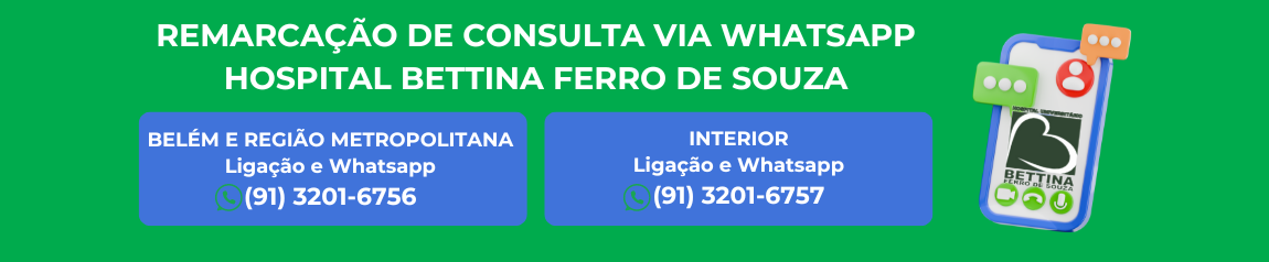 Consultas via whatsapp para o HUBFS