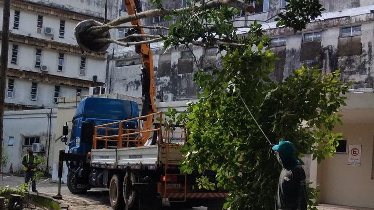 Equipe técnica utilizou métodos apropriados para garantir adaptação das espécies ao novo ambiente