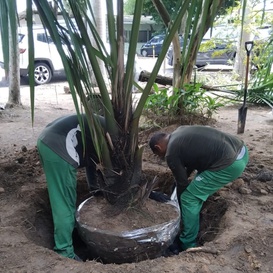 equipe técnica utilizou métodos apropriados para garantir adaptação das espécies ao novo ambiente 04.jpg