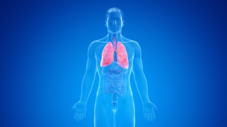 Mês reforça a conscientização sobre a fibrose cística