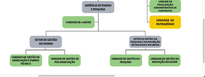 Organograma GEP HU-UNIFAP