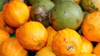 Tambaqui, tucumã e açaí: alimentos amazônicos podem contribuir para prevenir a obesidade