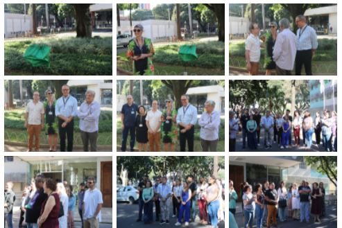 vento de inauguração Projeto das Árvores do Campus Saúde / Foto: Centro de Comunicação Social da Faculdade de Medicina da UFMG