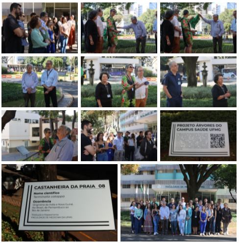 vento de inauguração Projeto das Árvores do Campus Saúde / Foto: Centro de Comunicação Social da Faculdade de Medicina da UFMG