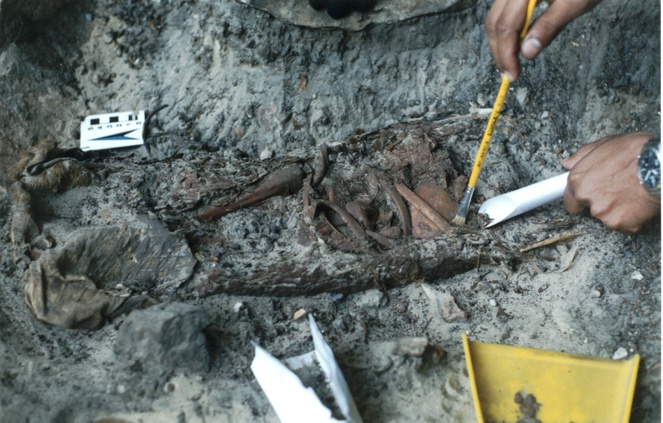 Estrutura funerária revelou detalhes desconhecidos da arqueologia brasileira Foto: Andrei Isnardis | UFMG