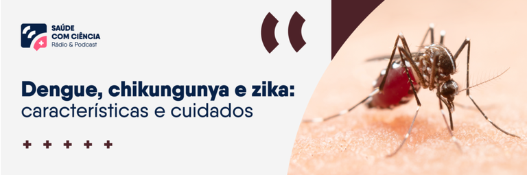 Topinho-Dengue-chikungunya-e-zika-caracteristicas-e-cuidados-05-1024x340.png