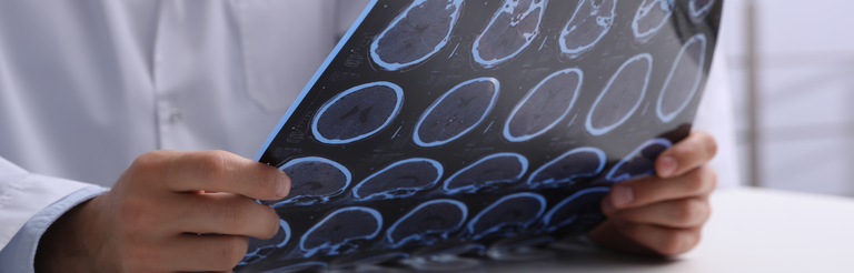 Maio Roxo - 2025-05-29T144930.917.png