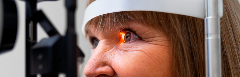 Maio Roxo - 2025-03-11T150547.119.png