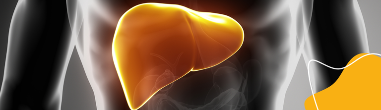 Hepatites.png