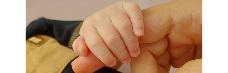 Maio Roxo - 2024-11-01T171239.346.png