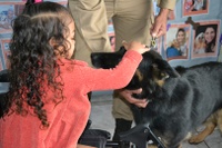 Cãoforto Hospitalar: HC-UFTM realiza primeira visita de cães treinados aos pacientes internados