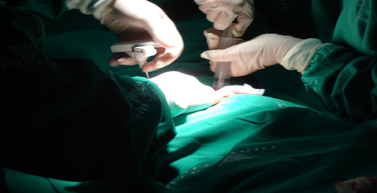 Transplante medula.jpg