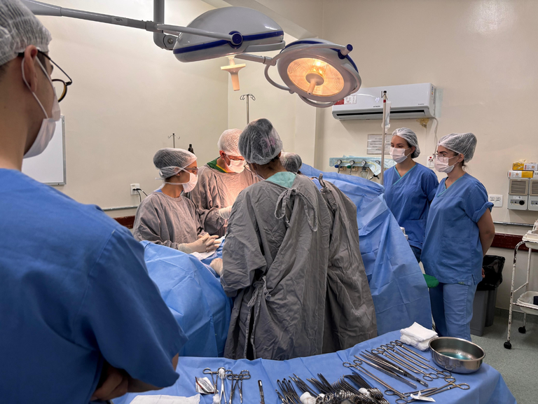 Merry Christmas Holiday Presentation (1).png