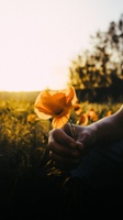 Quando não é só uma fase: veja como reconhecer o sofrimento psíquico na adolescência