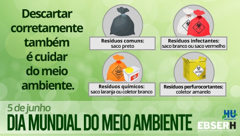 diamundialdomeioambientejpg