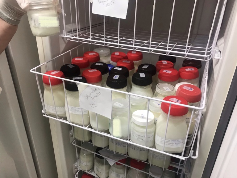 Aleitamento materno 2