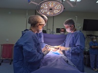 Mutirão “Dia E” deste sábado (13) realizou mais de 200 atendimentos no Huap-UFF, reduzindo filas do SUS