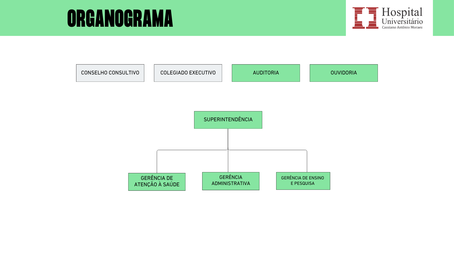 organograma 2026 1