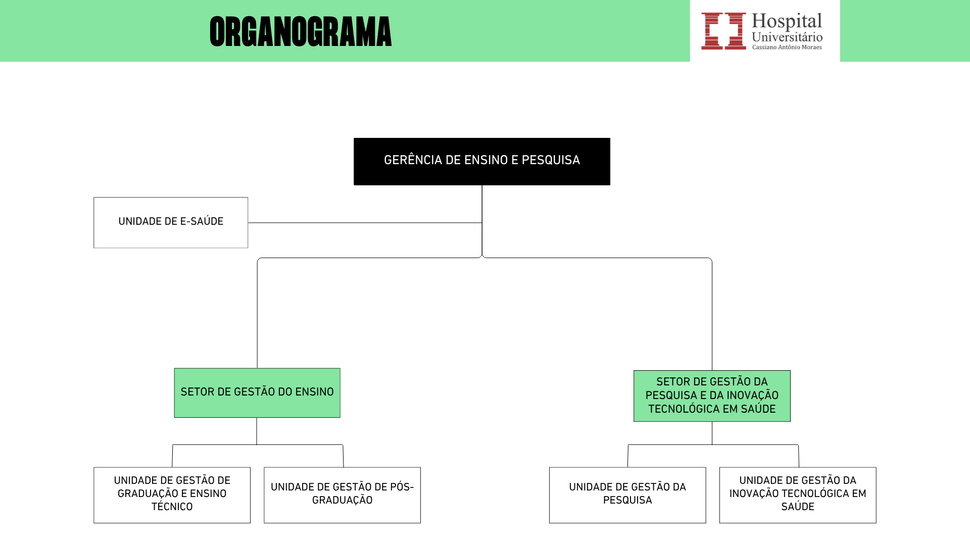 organograma 2026 5