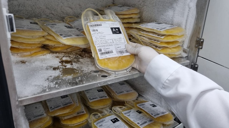 WhatsApp Image 2024-06-21 at 10.13.25.jpeg