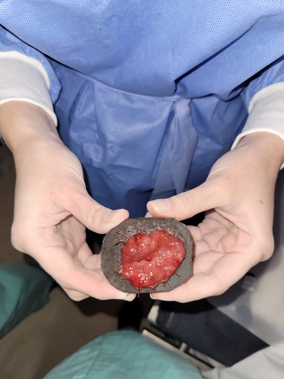 WhatsApp Image 2022-09-23 at 15.04.05.jpeg