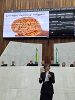 Profissionais do CHC defendem políticas Públicas amplas para o enfrentamento do AVC