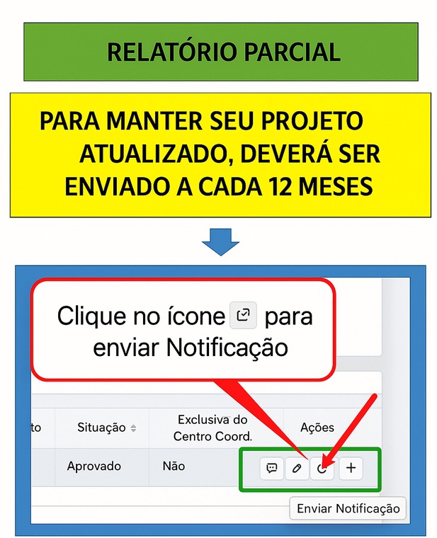 Relatório Parcial, atualização e navegação na plataforma.