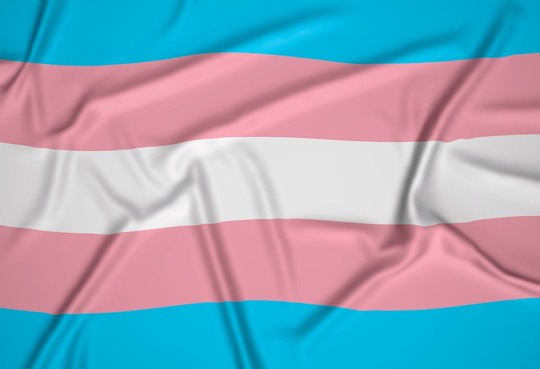 foto01_bandeira trans.jpg