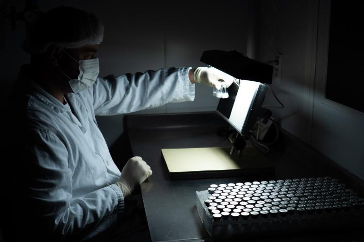 Vacina dengue aprovada