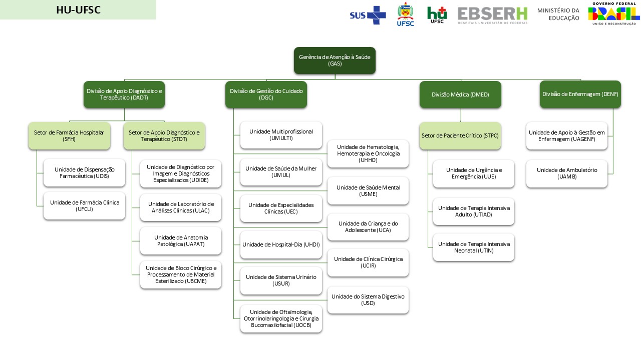 Estrutura Organizacional - Gerência de Atenção à Saúde