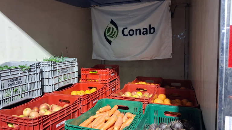 alimentos.jpg