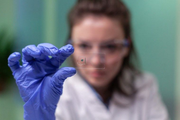 Parceria amplia capacidade de diagnóstico em anatomia patológica no HUSM-UFSM
