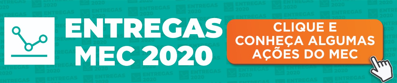Entregas MEC 2020